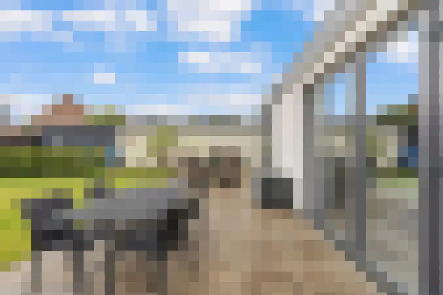 Heer van Rodestraat 114 Mierlo thumbnail 46
