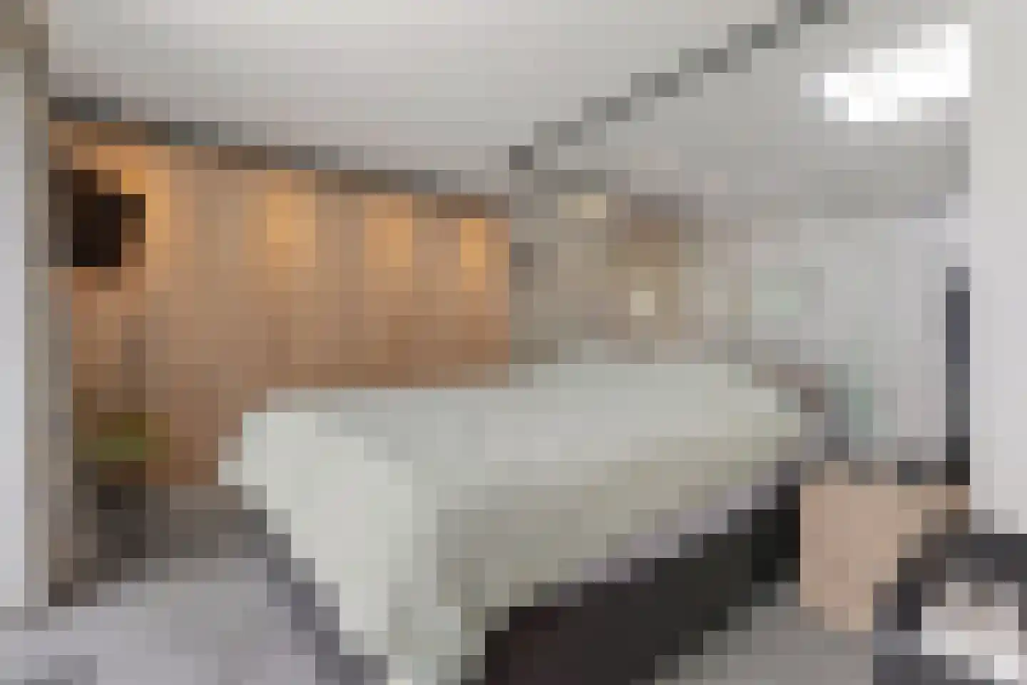 Heer van Rodestraat 114 Mierlo thumbnail 5