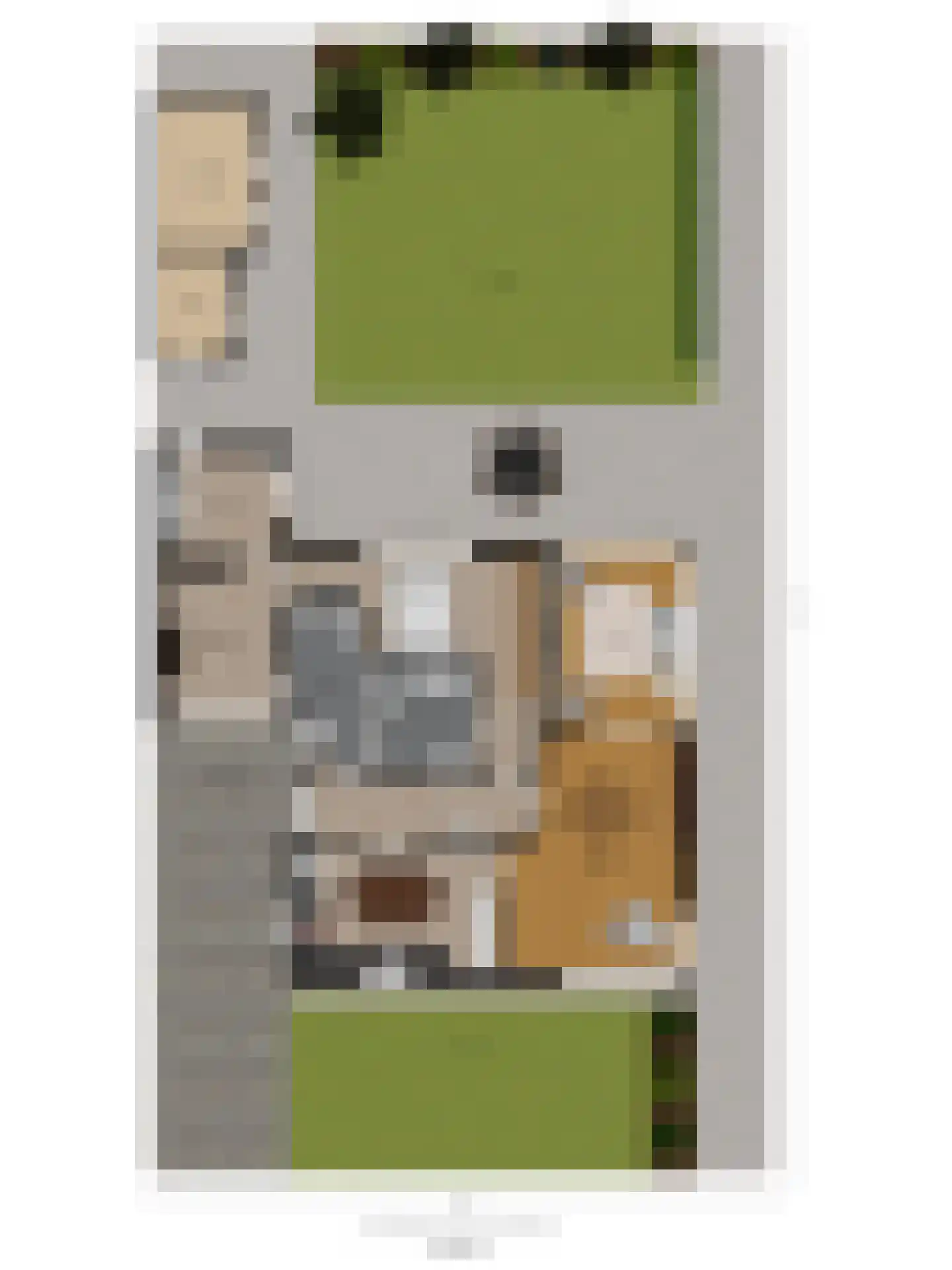 Heer van Rodestraat 114 Mierlo thumbnail 53
