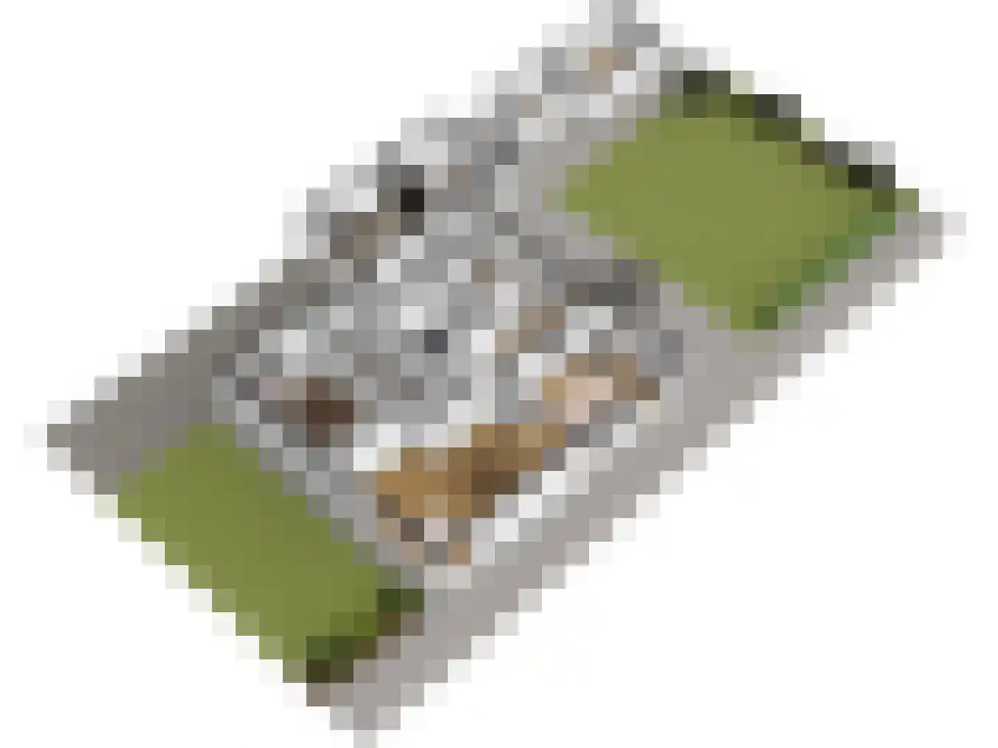 Heer van Rodestraat 114 Mierlo thumbnail 54