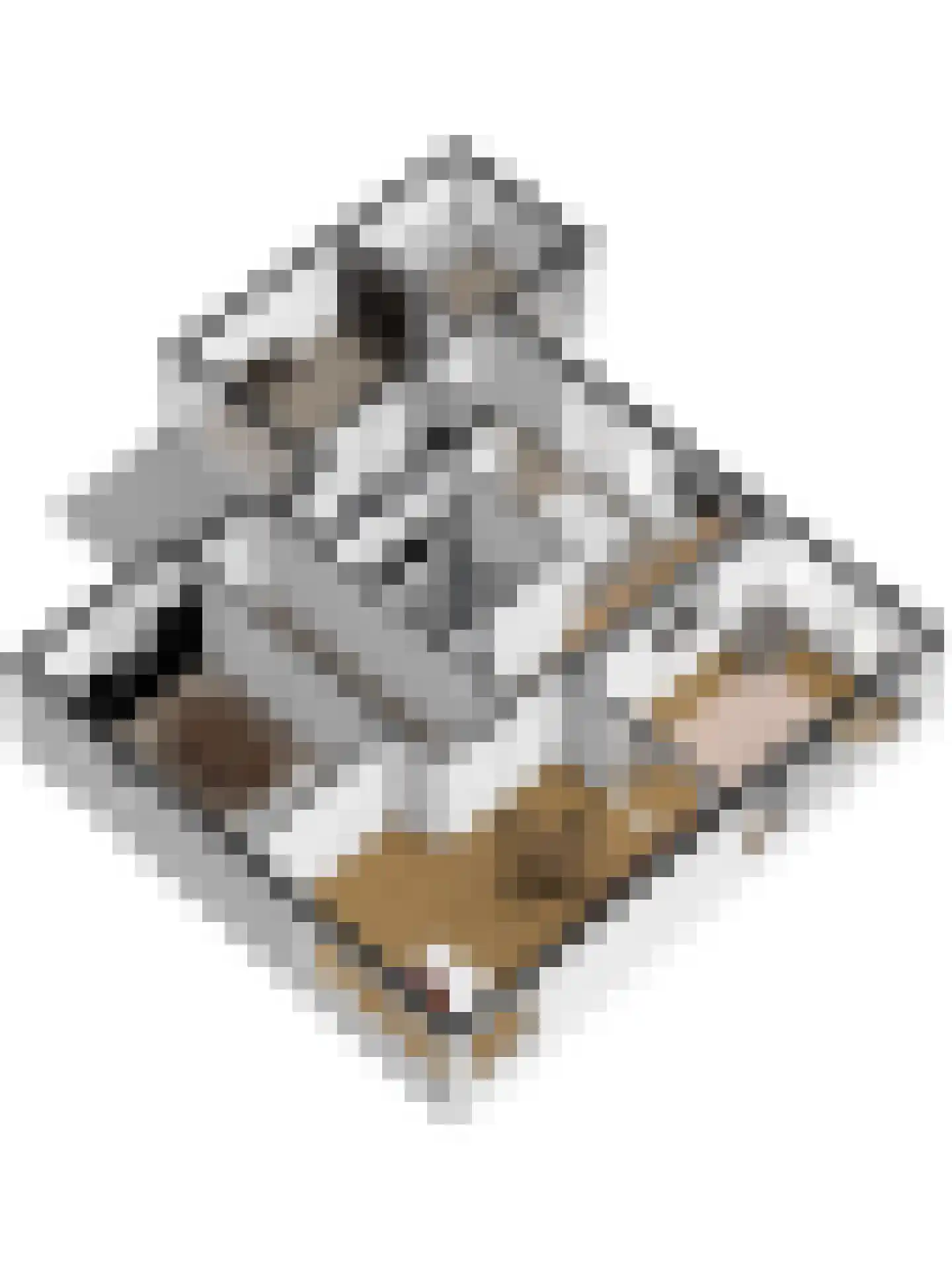 Heer van Rodestraat 114 Mierlo thumbnail 56