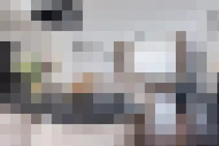 Heer van Rodestraat 139 Mierlo thumbnail 10