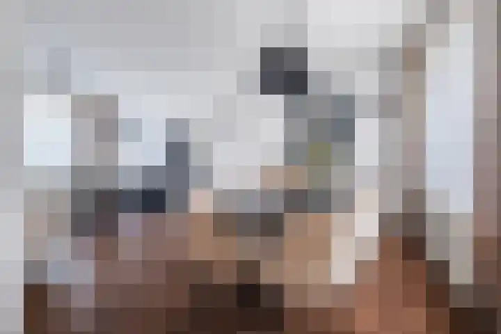 Heer van Rodestraat 139 Mierlo thumbnail 11