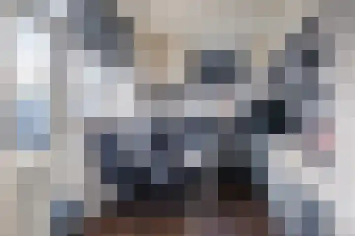 Heer van Rodestraat 139 Mierlo thumbnail 12