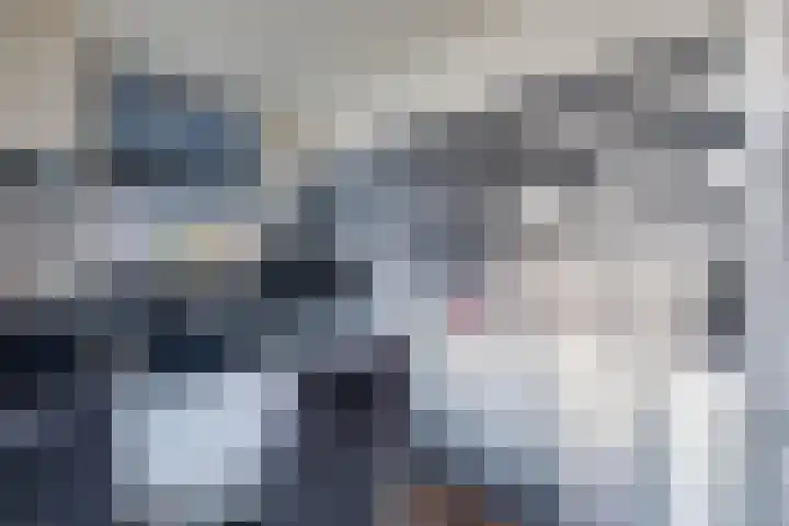 Heer van Rodestraat 139 Mierlo thumbnail 13