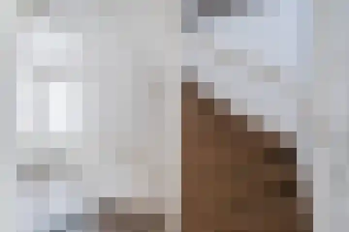 Heer van Rodestraat 139 Mierlo thumbnail 14