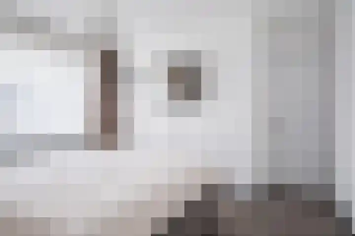 Heer van Rodestraat 139 Mierlo thumbnail 16