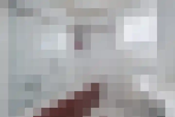Heer van Rodestraat 139 Mierlo thumbnail 21