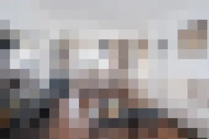 Heer van Rodestraat 139 Mierlo foto 3