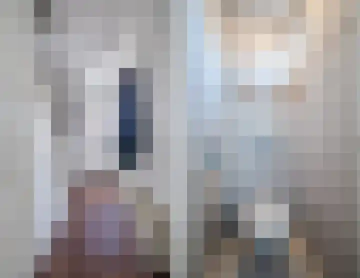 Heer van Rodestraat 139 Mierlo thumbnail 6
