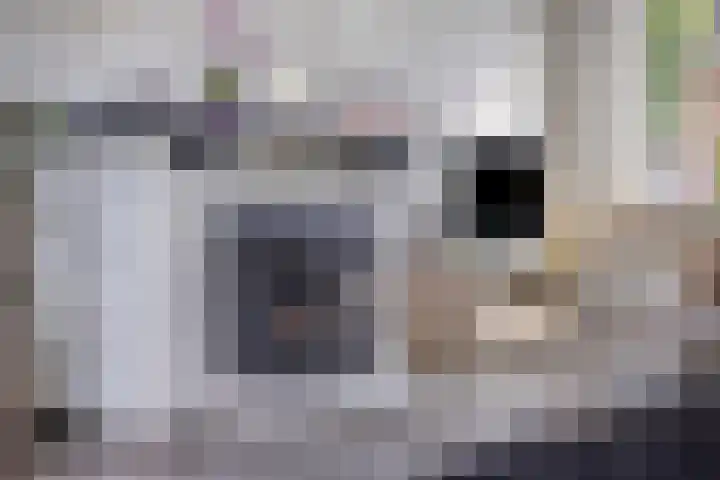 Heer van Rodestraat 169 Mierlo thumbnail 10