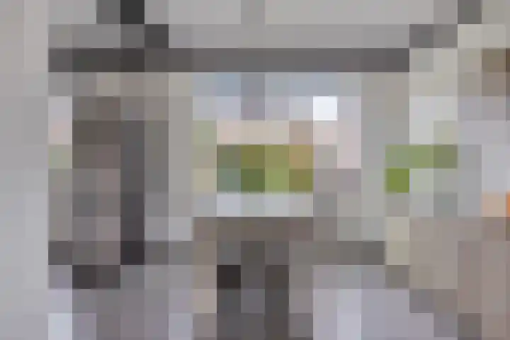 Heer van Rodestraat 169 Mierlo thumbnail 11