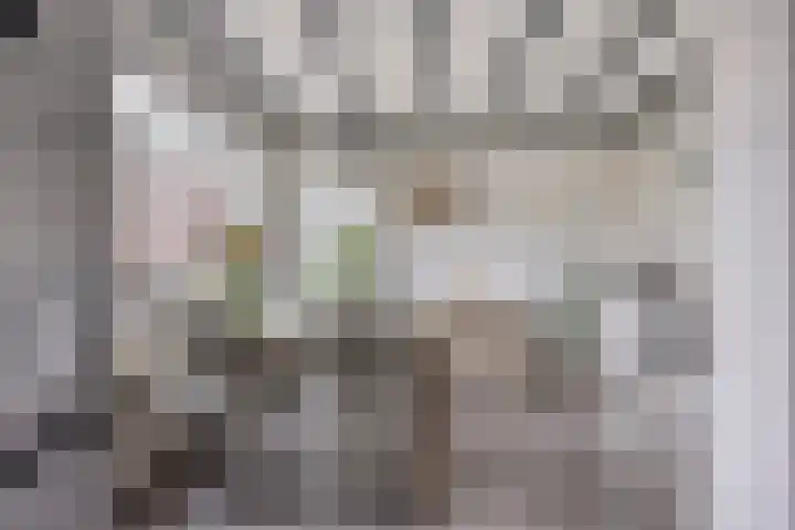 Heer van Rodestraat 169 Mierlo thumbnail 12