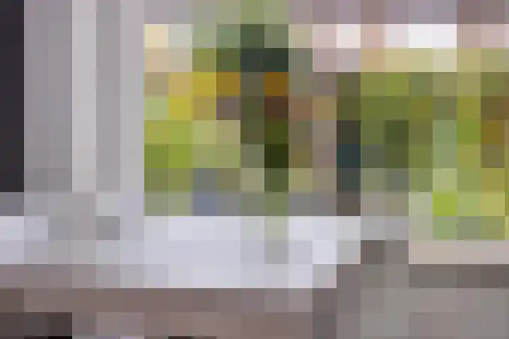 Heer van Rodestraat 169 Mierlo thumbnail 13