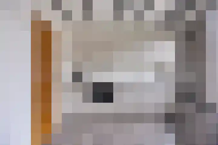 Heer van Rodestraat 169 Mierlo thumbnail 14