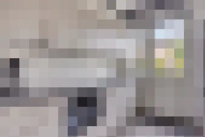 Heer van Rodestraat 169 Mierlo thumbnail 15