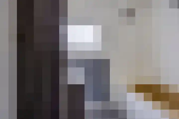 Heer van Rodestraat 169 Mierlo thumbnail 22