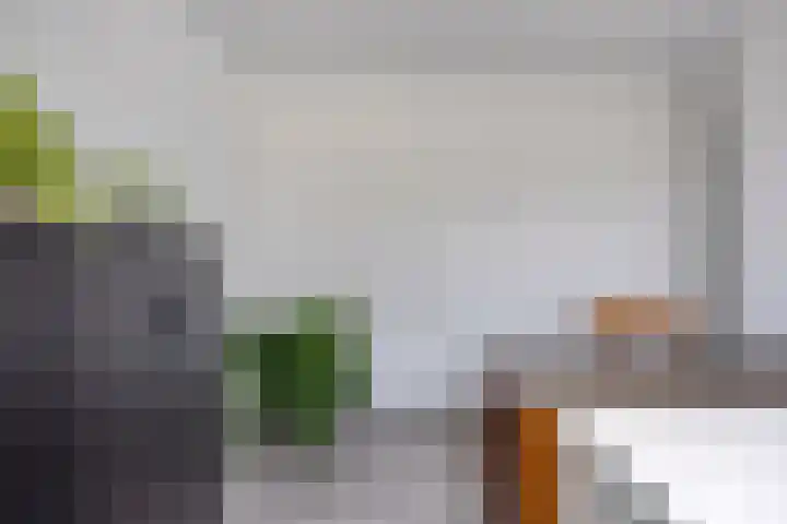 Heer van Rodestraat 169 Mierlo thumbnail 25
