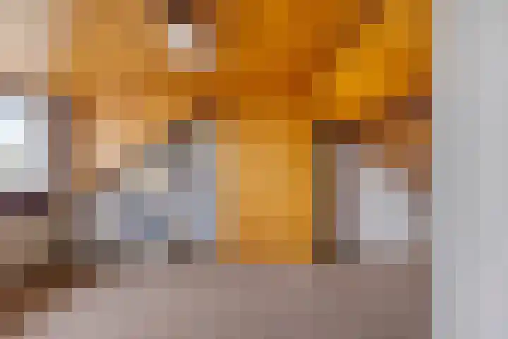 Heer van Rodestraat 169 Mierlo thumbnail 30