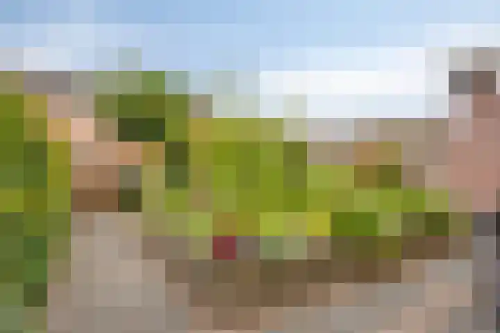 Heer van Rodestraat 169 Mierlo thumbnail 33