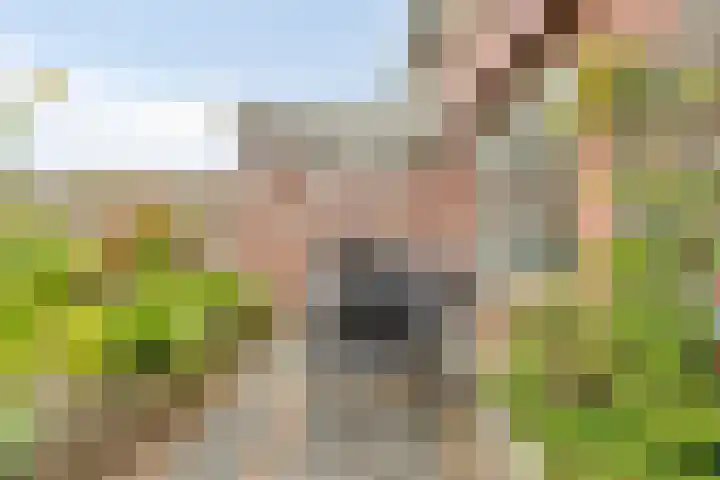 Heer van Rodestraat 169 Mierlo thumbnail 34