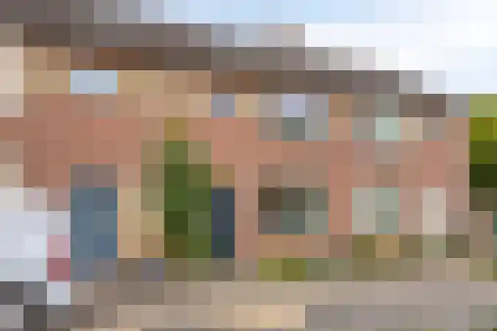 Heer van Rodestraat 169 Mierlo thumbnail 39