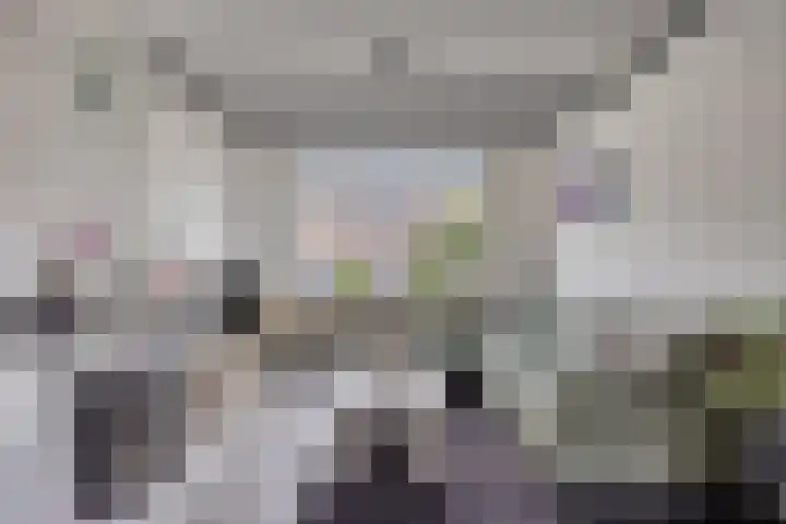 Heer van Rodestraat 169 Mierlo thumbnail 5