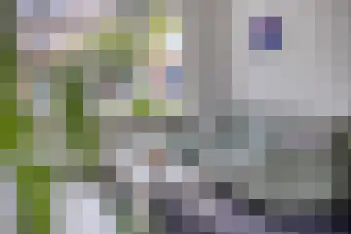 Heer van Rodestraat 169 Mierlo thumbnail 6