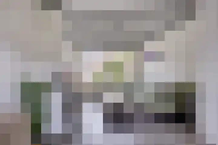 Heer van Rodestraat 169 Mierlo thumbnail 7