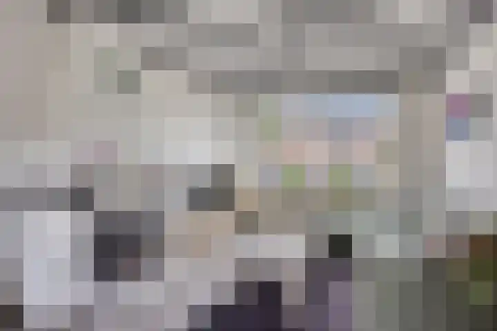 Heer van Rodestraat 169 Mierlo thumbnail 8