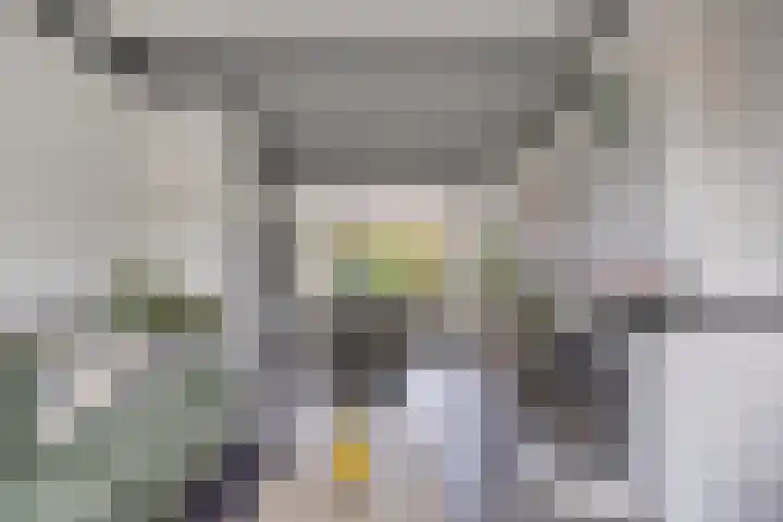 Heer van Rodestraat 169 Mierlo thumbnail 9
