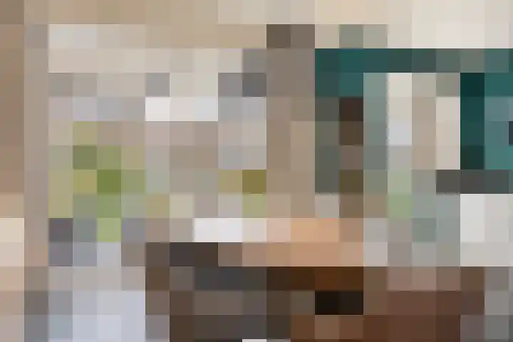 Heer van Rodestraat 171 Mierlo thumbnail 11