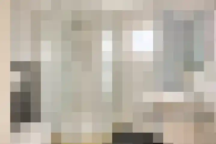 Heer van Rodestraat 171 Mierlo thumbnail 15