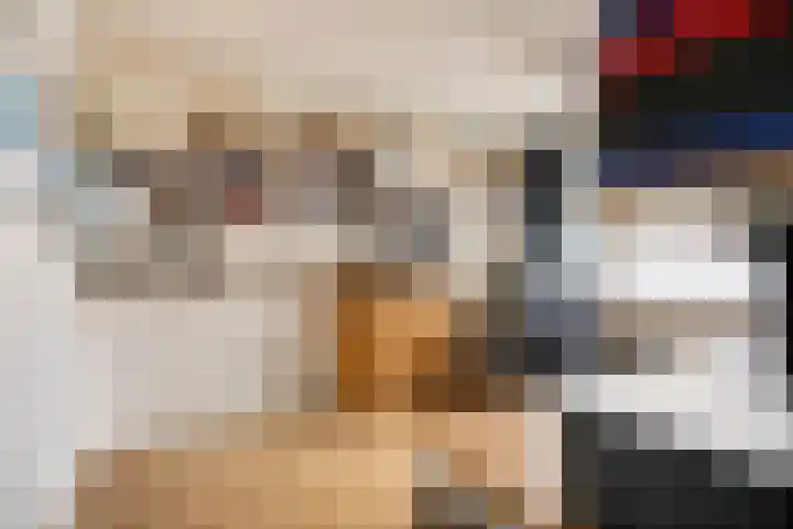 Heer van Rodestraat 171 Mierlo thumbnail 17
