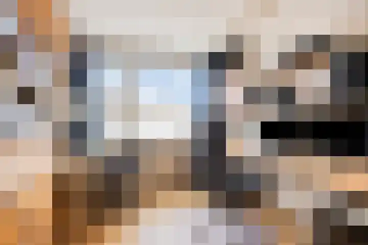 Heer van Rodestraat 171 Mierlo thumbnail 18
