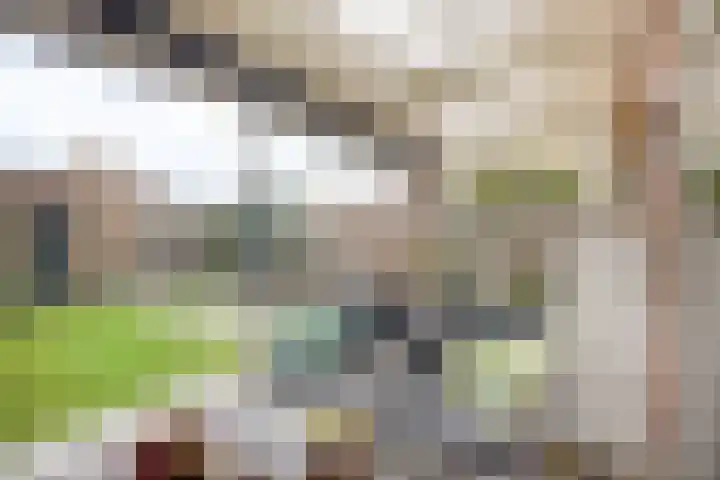 Heer van Rodestraat 171 Mierlo thumbnail 25