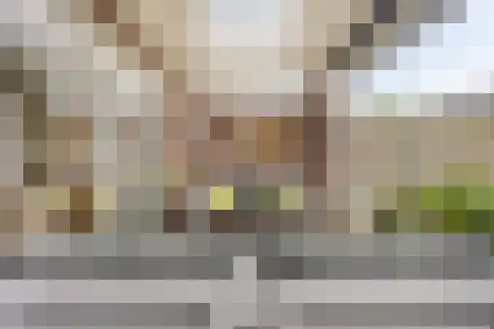 Heer van Rodestraat 171 Mierlo thumbnail 26