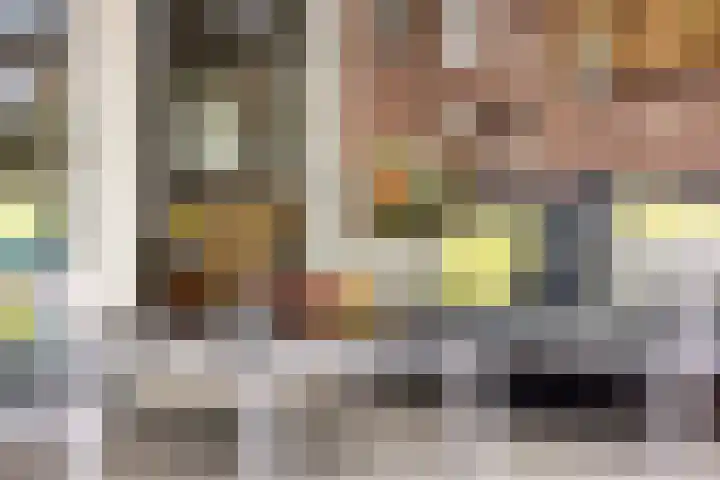 Heer van Rodestraat 171 Mierlo thumbnail 28