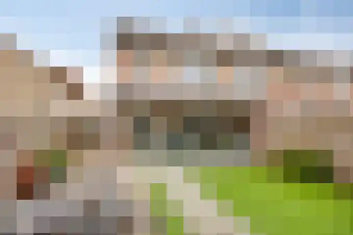 Heer van Rodestraat 171 Mierlo thumbnail 32