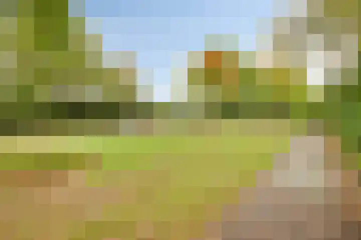 Heer van Rodestraat 171 Mierlo thumbnail 33