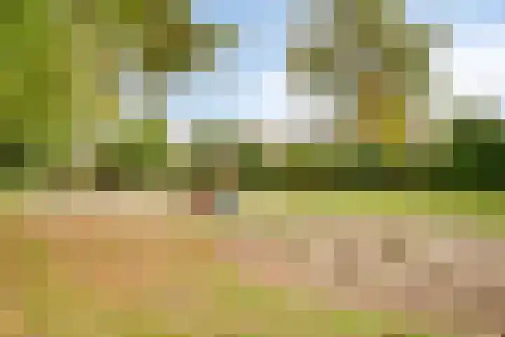 Heer van Rodestraat 171 Mierlo thumbnail 34