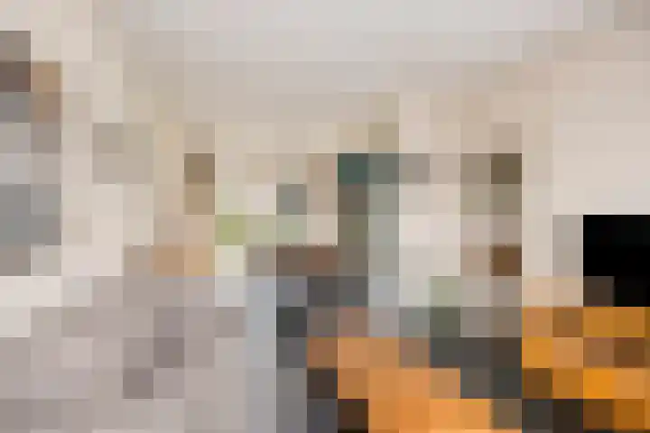 Heer van Rodestraat 171 Mierlo thumbnail 4