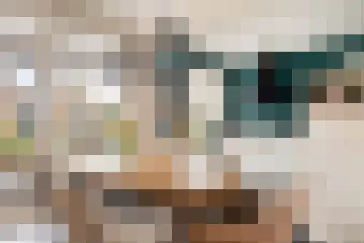Heer van Rodestraat 171 Mierlo thumbnail 7