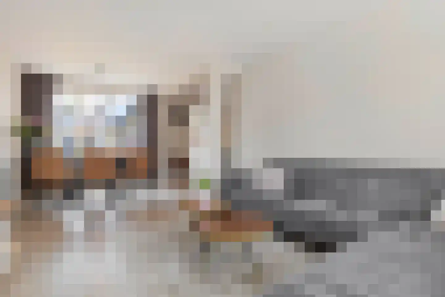 Heer van Rodestraat 38 Mierlo thumbnail 11