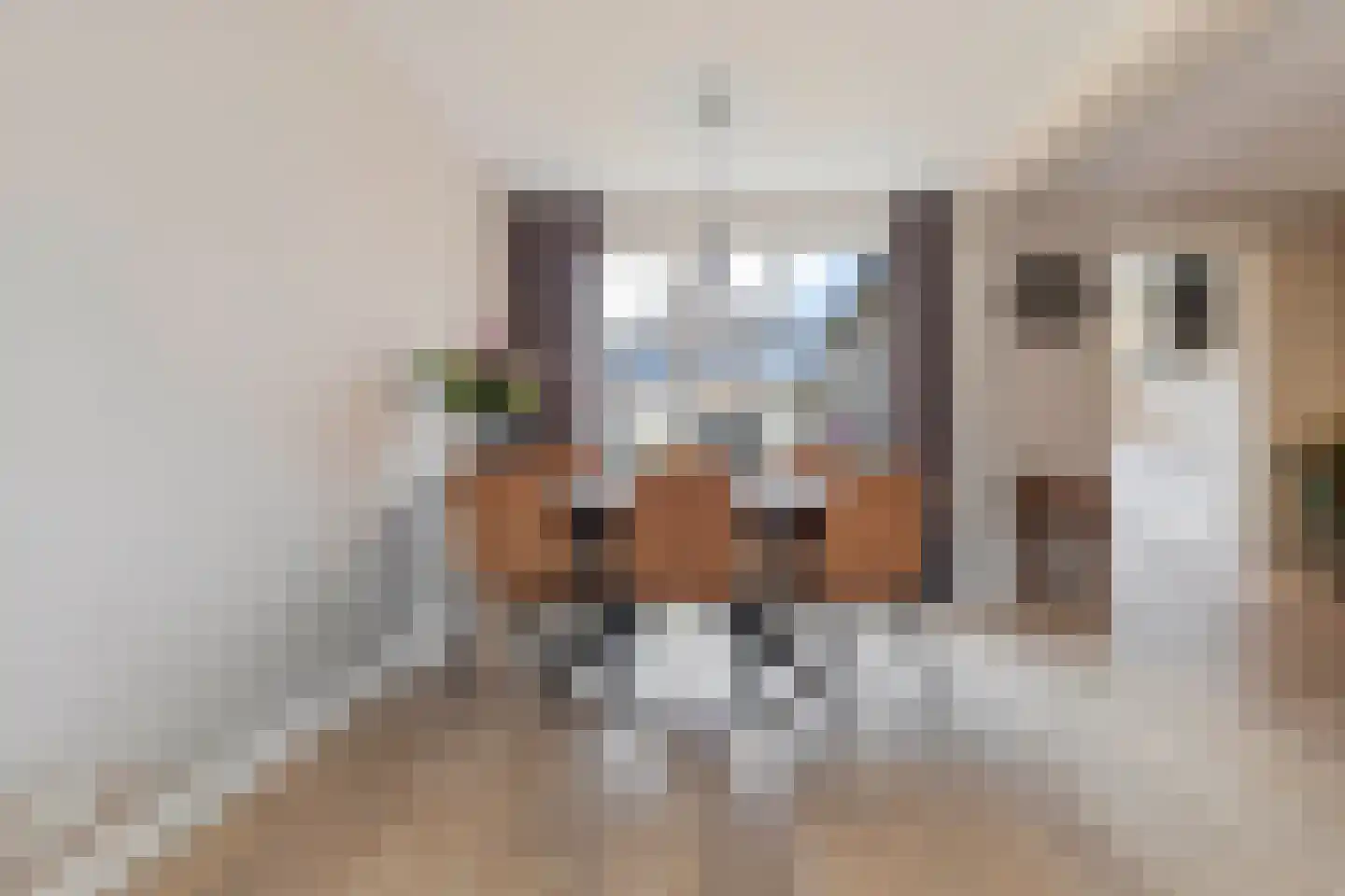 Heer van Rodestraat 38 Mierlo thumbnail 13