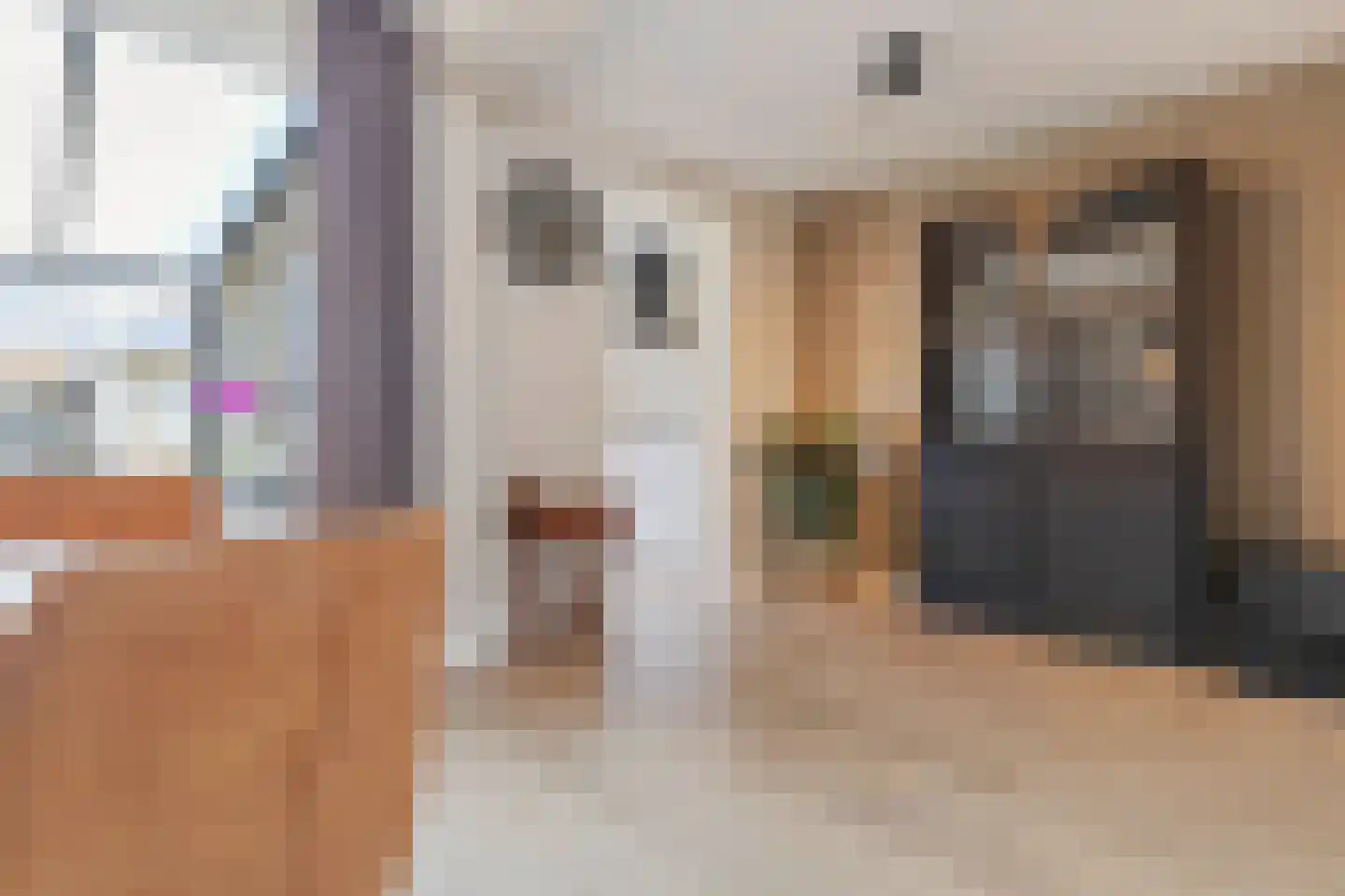 Heer van Rodestraat 38 Mierlo thumbnail 16