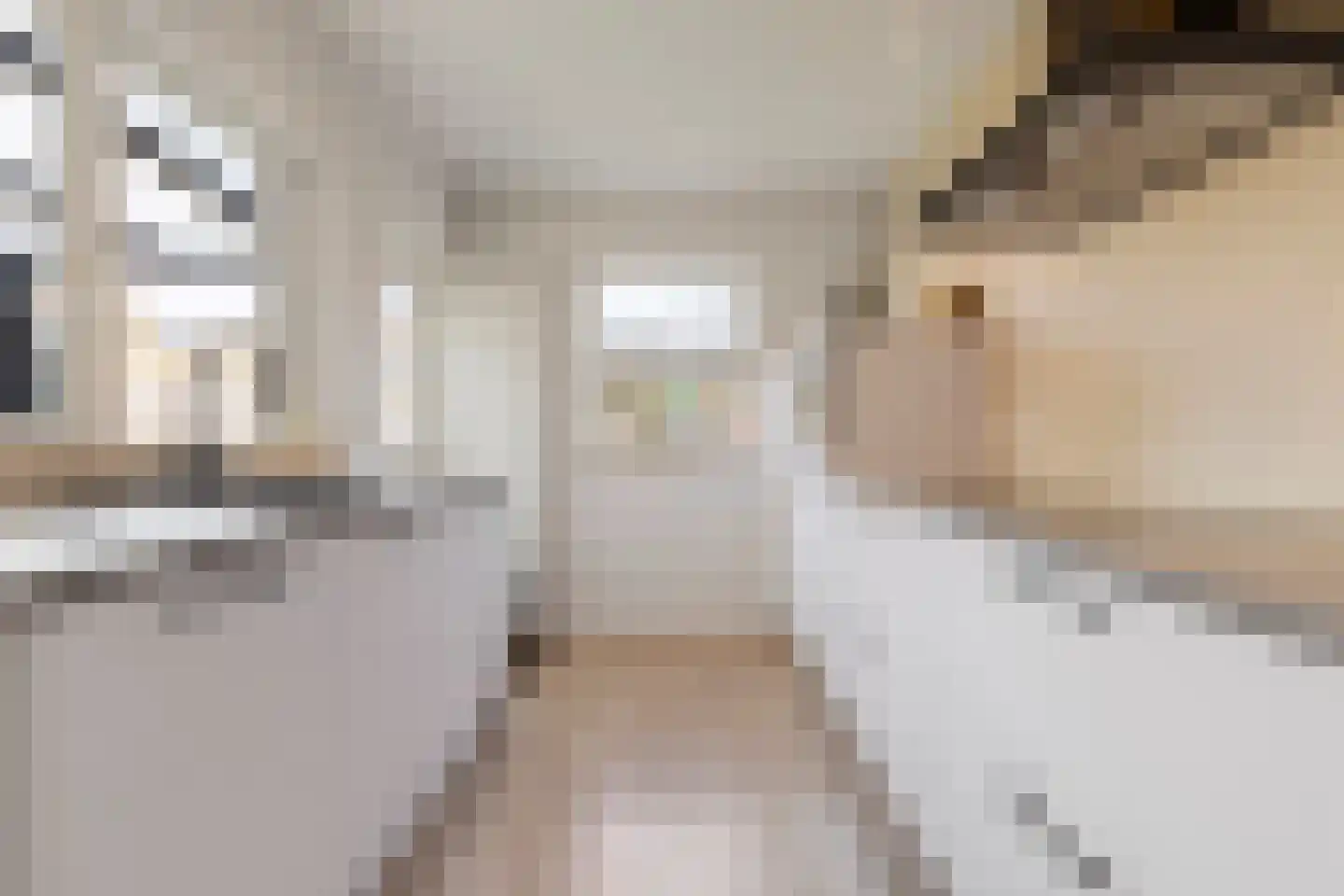 Heer van Rodestraat 38 Mierlo thumbnail 17