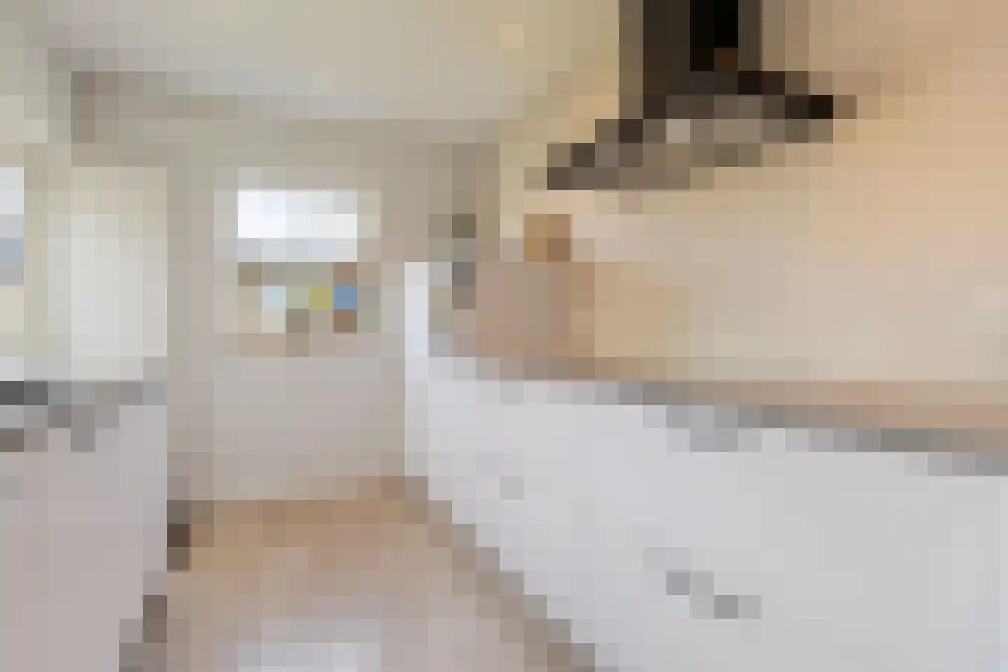 Heer van Rodestraat 38 Mierlo thumbnail 18
