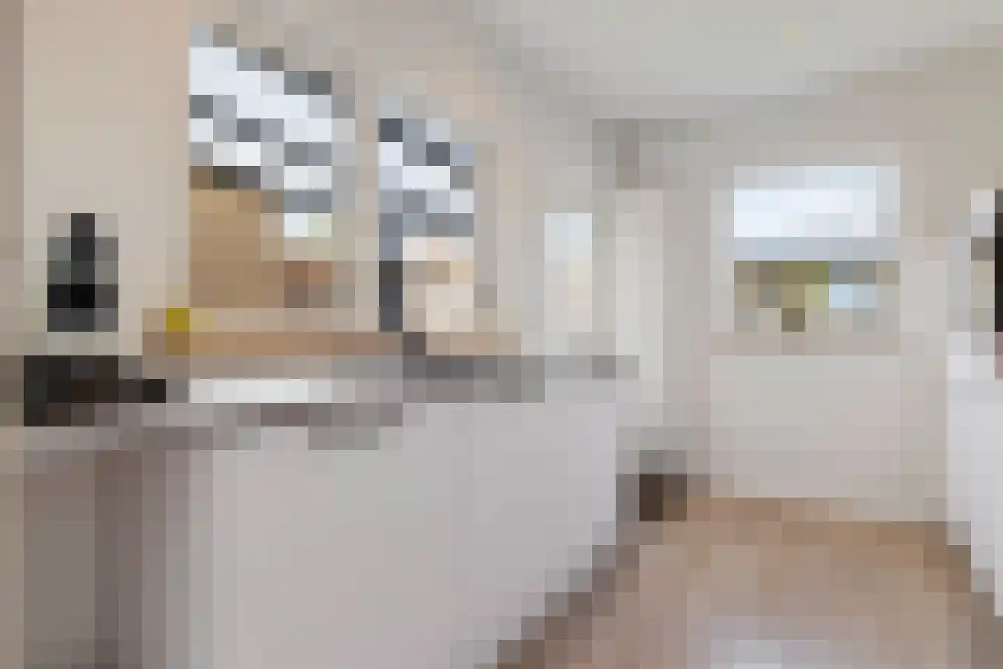 Heer van Rodestraat 38 Mierlo thumbnail 19