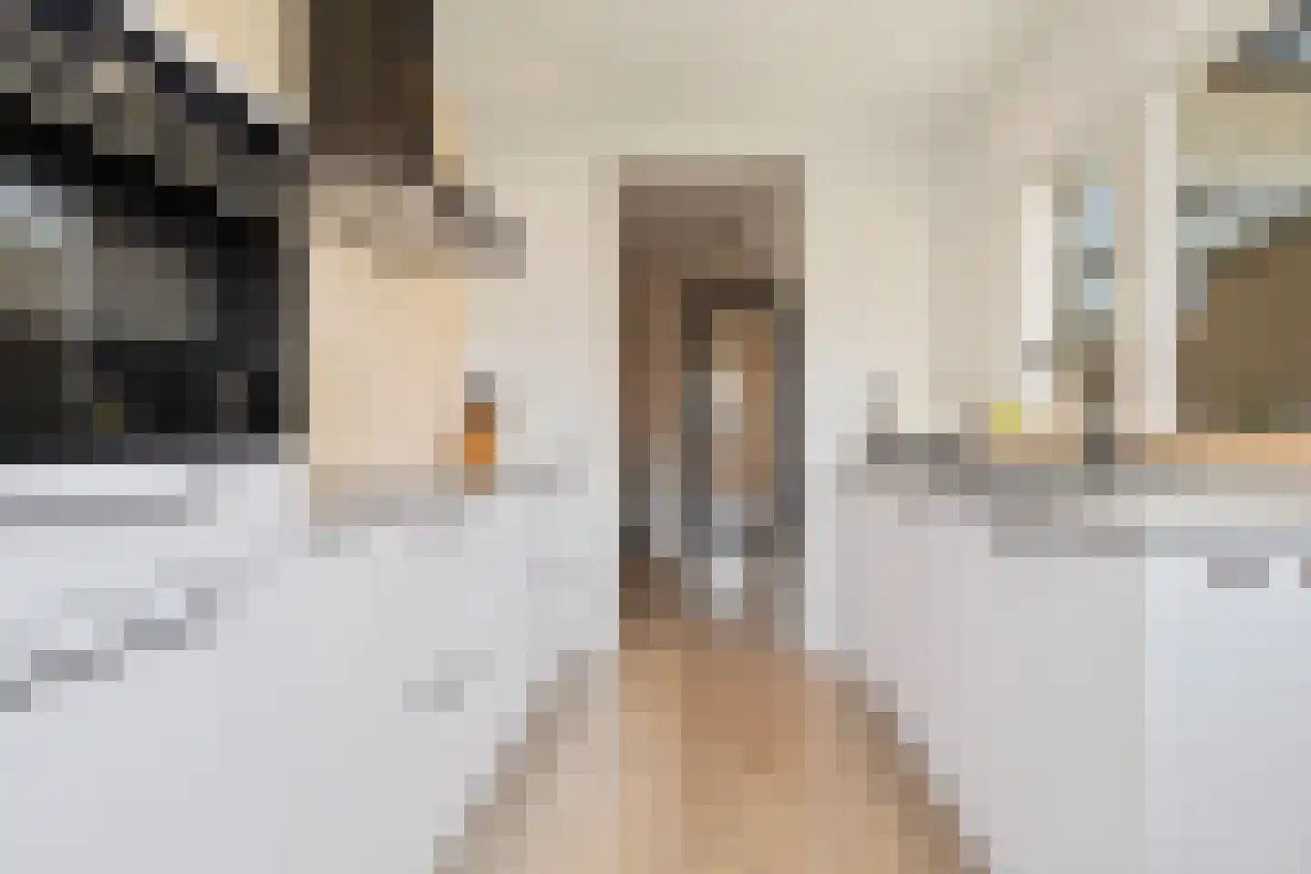 Heer van Rodestraat 38 Mierlo thumbnail 21